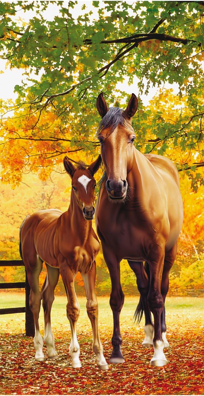 HORSE FAMILY TOWEL 4215